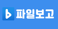 파일보고